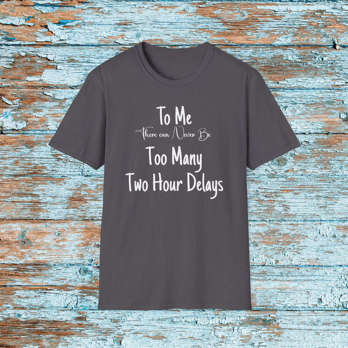 Funny Teacher Two Hour Delay Shirt, To Me There Can Never Be Too Many Two Hour Delays, Humorous Grammar TShirt, Snow Day, Matching Team