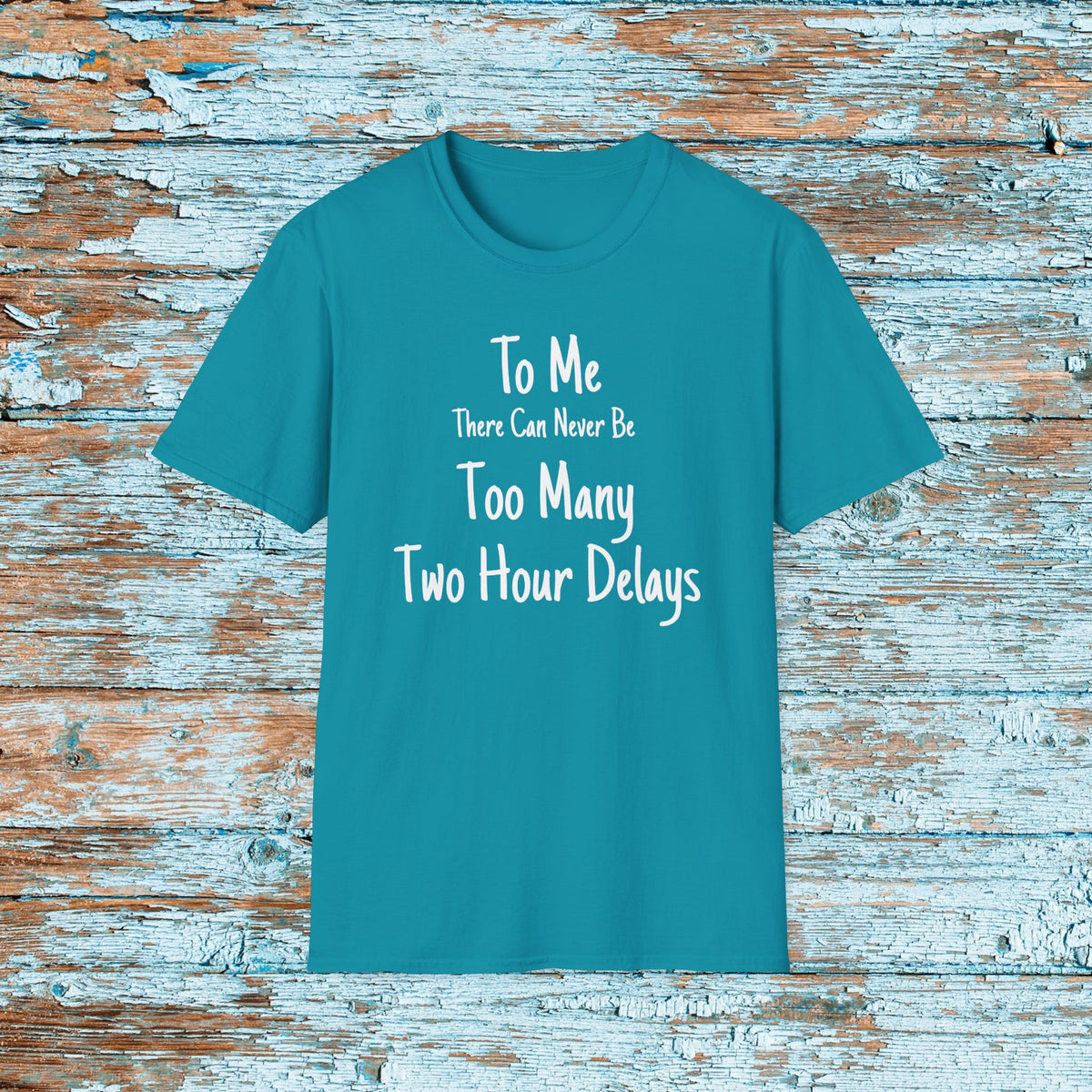 Funny Teacher Two Hour Delay Shirt, To Me There Can Never Be Too Many Two Hour Delays, Humorous Grammar TShirt, Snow Day, Matching Team