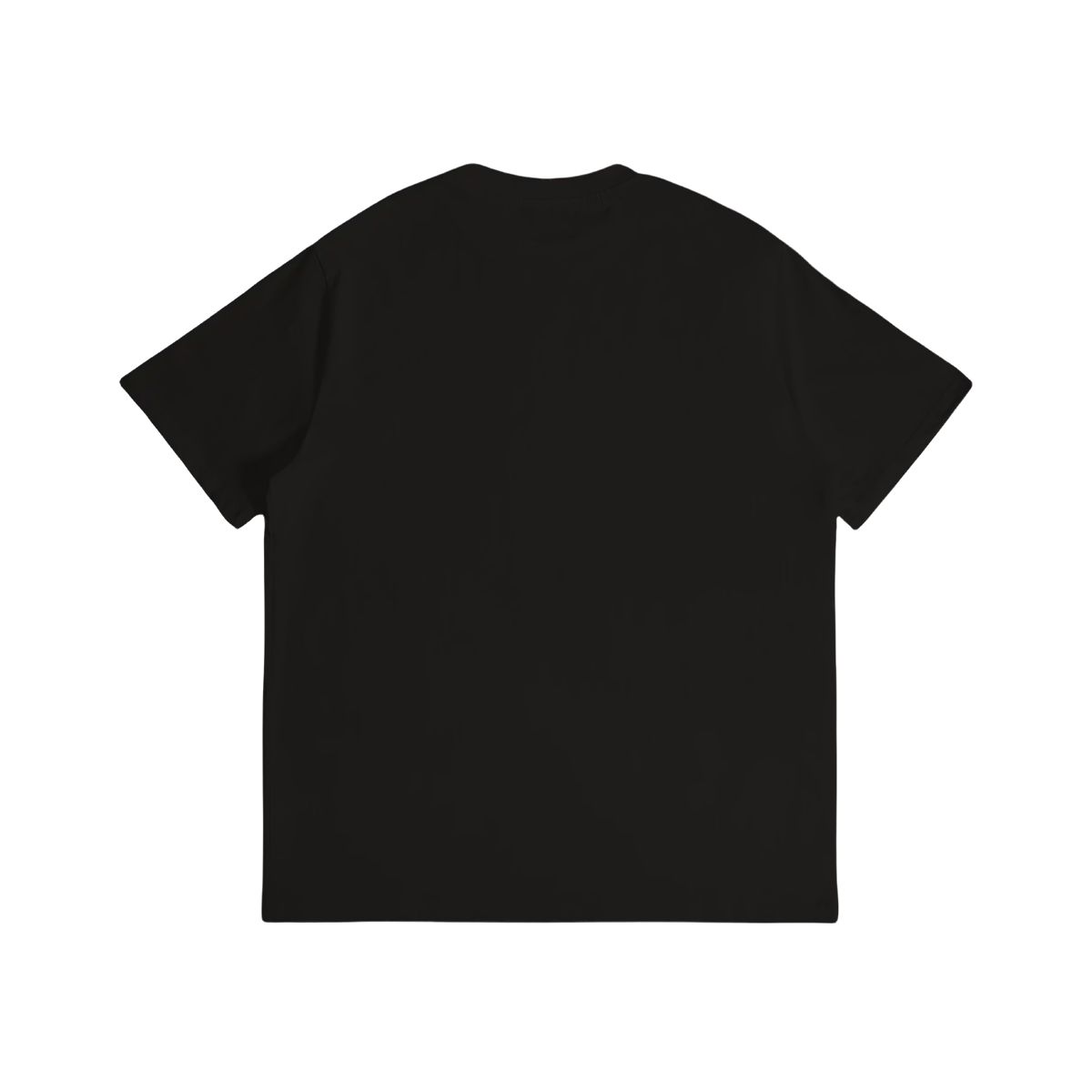 Gildan 5000 Unisex Cotton Tee Customized Services Untitled design (23)